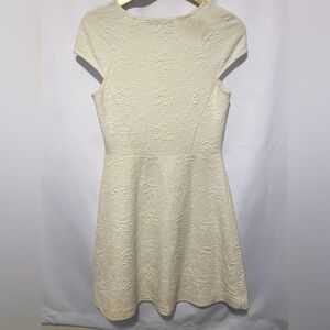 Zara Cream Jacquard Print Short Sleeve Skater Printer Dress Size Medium